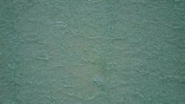 Şeffaf deniz kıyısında güneşli bir sahil tatili ve beyaz kum arka planında güneş ışığı.