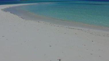 Temiz su ve palmiyelerin yakınındaki parlak kum arka planında mükemmel sahil yaban hayatının boş bir yolculuğu.