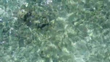 Gündüz vakti, deniz kıyısında lüks bir deniz macerası. Mavi deniz ve beyaz kum arka planda güneş ışığı.