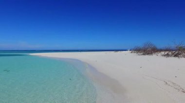 Şeffaf deniz kenarında cennet manzaralı plaj manzarası ve palmiyelerin yanında beyaz kumlu arka plan