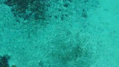 Tropikal adanın geniş açılı dokusu güneş batmadan önce mavi su ve beyaz kumlu zemin tarafından kırılıyor.