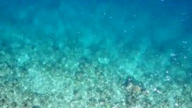 Romantik deniz manzarası, kumsalın yakınındaki beyaz kumlu arka planda mavi lagünün yanında, rahatlatıcı sahil kıyısı yaban hayatı.