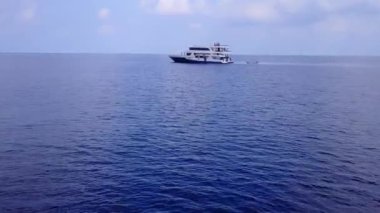 Palmiyelerin yakınındaki beyaz kumlu arka planlı, su mavisi gölün yanındaki lüks sahil sahil yaban hayatının yaz dokusu.