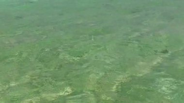 Güneşli deniz manzaralı plaj tatili mavi göl kenarında ve gün batımından önce beyaz kumlu arka plan