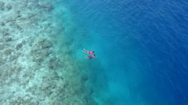 Günbatımından önce mavi deniz ve beyaz kumlu arka planda lüks göl yaban hayatının romantik soyutlanması