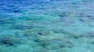 Sahil kenarındaki egzotik sahil yaşam tarzını kum tepesi yakınlarındaki temiz kum arka planına sahip sığ sularla kopyala