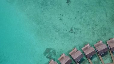 Turkuaz deniz kenarındaki güzel sahil yaban hayatının gündüz manzarası kumsalın kenarındaki parlak kumlu arka planda