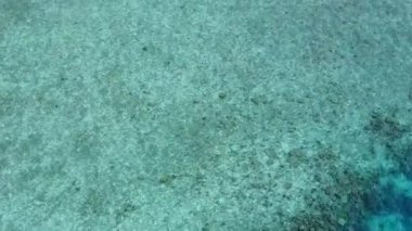 Gün batımından önce beyaz kumlu arka planda, berrak deniz kıyısında mükemmel göl turizmi.