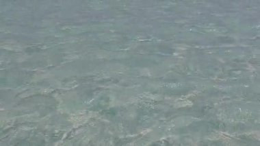 Dalgalara yakın beyaz kumlu arka planlı, rahatlatıcı deniz manzaralı plaj gezisi