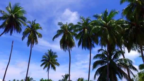 Close up paisagem de luxo viagem de praia costa por mar claro com fundo arenoso branco perto de restinga — Vídeo de Stock