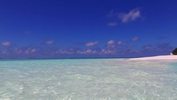 Céu quente da idílica praia turística vida selvagem por mar transparente com fundo de areia branca perto de restinga — Vídeo de Stock