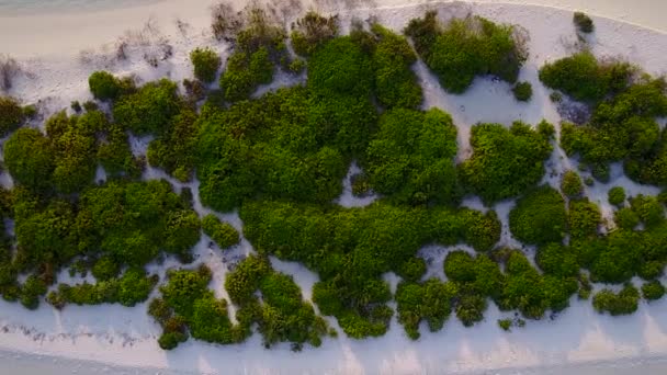 Turismo vuoto di idilliaca baia spiaggia viaggio da laguna poco profonda e sfondo di sabbia bianca vicino palme — Video Stock