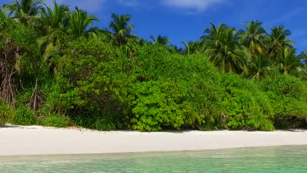 ヤシの近くに白い砂の背景を持つターコイズブルーのラグーンによる熱帯リゾートビーチの休日の夏の海 — ストック動画
