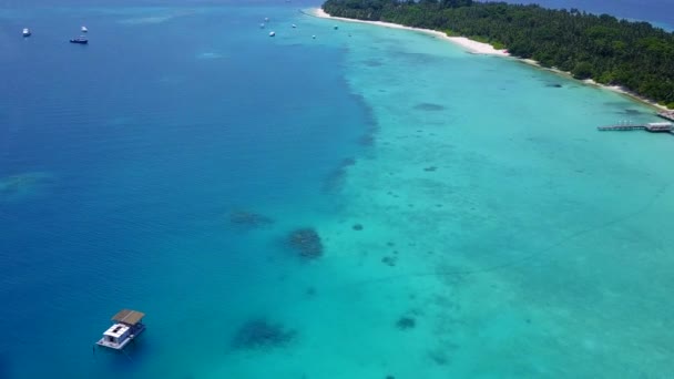 ヤシの木の近くに白い砂の背景と澄んだ海による美しい海の景色の暖かい風景ビーチの旅 — ストック動画