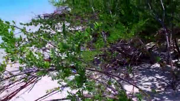 Давняя природа красивого пляжного отдыха на чистой воде с белым песчаным фоном возле песчаника — стоковое видео
