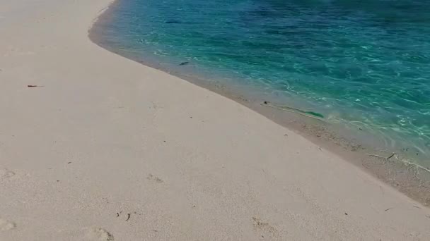 蓝色绿海和沙洲附近白沙滩背景下的热带岛屿海滩度假浪漫摘要 — 图库视频影像