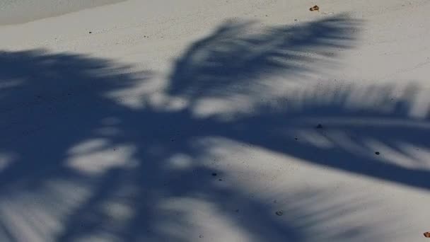 Daytime abstract of perfect resort beach adventure by blue green sea and white sandy background near reef — Video Stock