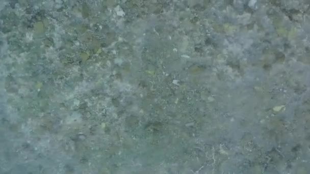 Копировать космическое небо экзотических лагуны отдыха на мелководье с белым песчаным фоном после восхода солнца — стоковое видео