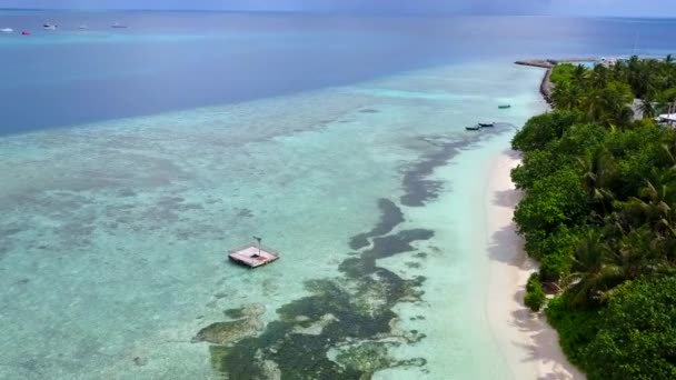 Cennetin insansız hava aracı turizmi. Beyaz kum arka planlı mavi deniz kıyısında vahşi yaşam. — Stok video