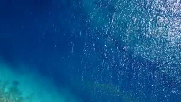 Καλοκαίρι τοπίο της θαλάσσιας ακτογραμμής ταξίδι στην παραλία από τιρκουάζ θάλασσα και λευκό αμμώδη φόντο κοντά φοίνικες — Αρχείο Βίντεο