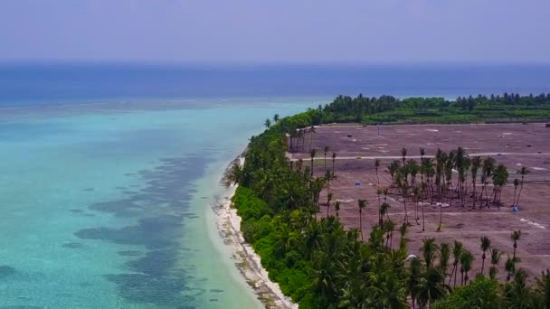 Sunny sky of luxury coastline beach wildlife by clear sea with clean sandy background near sandbank — Stock Video