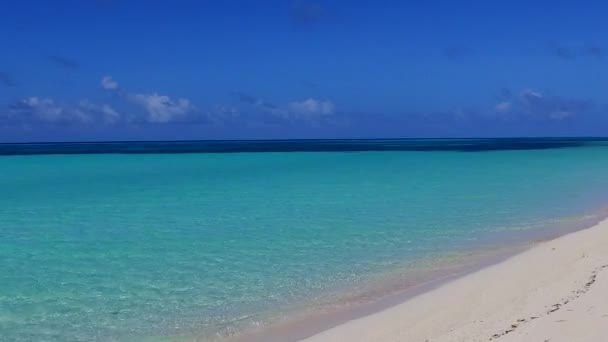 Sunny paesaggio marino della spiaggia della baia marina fauna selvatica da blu mare verde e sfondo sabbioso luminoso vicino surf — Video Stock