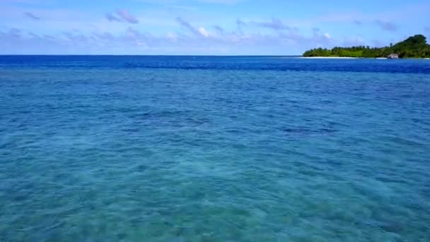 Verão céu de praia marinha praia vida selvagem por lagoa rasa e fundo arenoso branco perto de surf — Vídeo de Stock