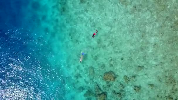 Cennet gibi deniz kıyısı turizmi. Mavi deniz kıyısında, palmiyelerin yanında beyaz kumlu arka plan. — Stok video