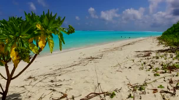 Turismo aéreo de drones de isla tropical viaje de playa por laguna azul aqua y fondo de arena blanca — Vídeos de Stock