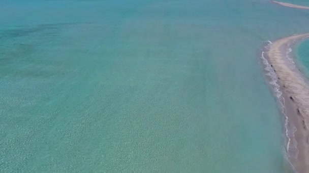 Perjalanan Drone pantai eksotis satwa liar dengan laguna dangkal dan latar belakang pasir cerah — Stok Video
