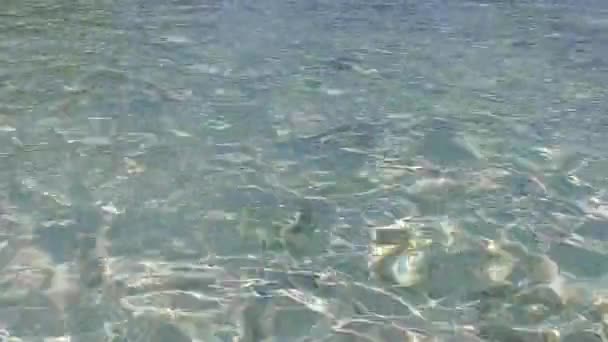 Panorama estivo di perfetta vacanza sulla spiaggia laguna dal mare turchese con sfondo di sabbia bianca vicino al banco di sabbia — Video Stock