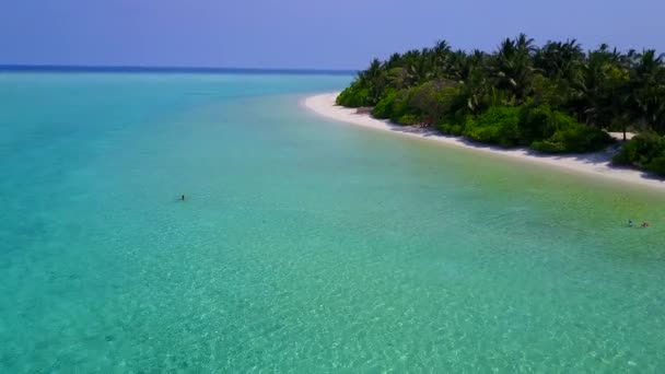 Paesaggio estivo di perfetta vacanza al mare isola da acque poco profonde e sfondo di sabbia bianca vicino a palme — Video Stock