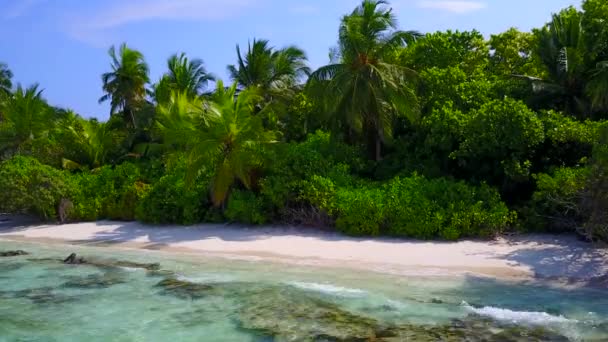 Güzel sahil yaban hayatının uzay yolculuğunu mavi deniz ve kumsalın yakınındaki beyaz kum arka planıyla kopyala — Stok video