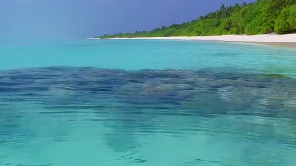 浅浅的泻湖和棕榈附近的白沙滩背景下宁静的岛屿海滩休息的夏季摘要 — 图库视频影像