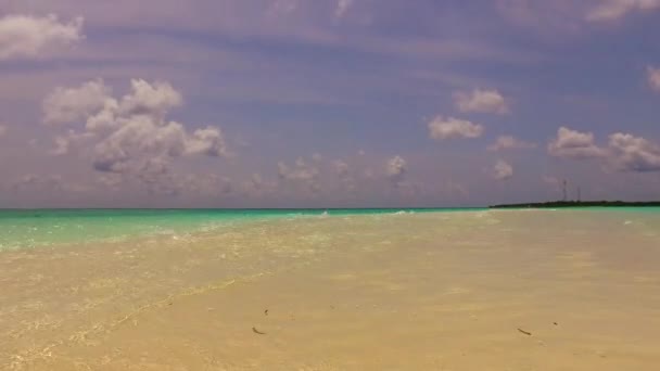 Ampio angolo texture di tranquilla baia spiaggia viaggio da blu mare verde e sabbia bianca sfondo vicino palme — Video Stock