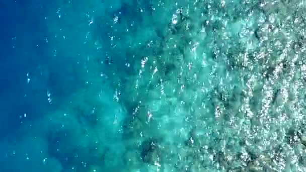 Weitwinkelige Meereslandschaft mit exotischem Strandleben durch blaue Lagune und weißen Sandhintergrund im Sonnenlicht — Stockvideo