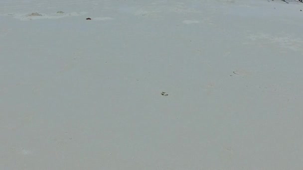 Cielo diurno de laguna marina vacaciones de playa por azul océano verde y fondo de arena blanca cerca de arrecife — Vídeos de Stock