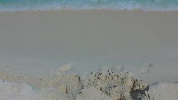 Nahaufnahme Landschaft der tropischen Küste Strand Tierwelt durch blau-grünes Meer mit weißem Sand Hintergrund in der Nähe Sandbank — Stockvideo