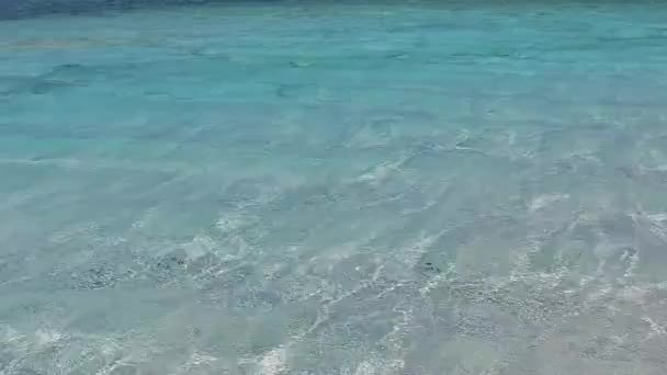 Καλοκαίρι τοπίο του παραδείσου θέρετρο περιπέτεια παραλία από ρηχό ωκεανό και λευκό αμμώδη φόντο κοντά φοίνικες — Αρχείο Βίντεο