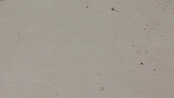 Dagtoerisme van exotische lagune strand avontuur door blauw groene zee en wit zand achtergrond in de buurt van zandbank — Stockvideo