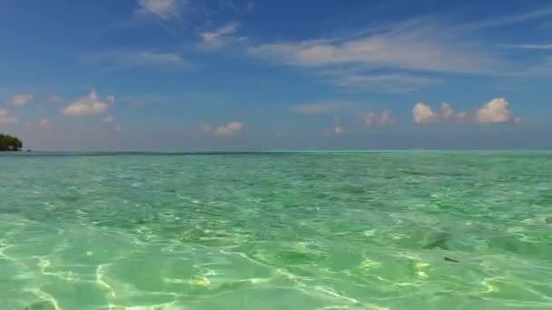 Abstrato ensolarado da costa marinha tempo de praia por mar azul com fundo de areia brilhante perto de palmas — Vídeo de Stock