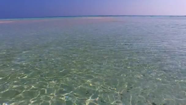 Zonnig landschap van ontspannen eiland strand flora en fauna door blauwe lagune met witte zand achtergrond in de buurt van zandbank — Stockvideo
