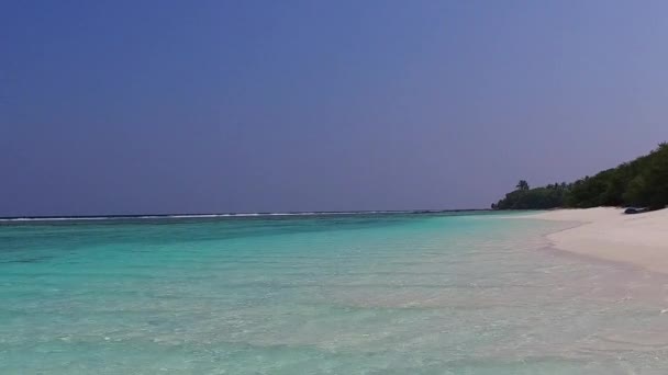 Paesaggio caldo di tranquilla vista mare spiaggia fauna selvatica dal mare poco profondo e sfondo di sabbia bianca vicino surf — Video Stock