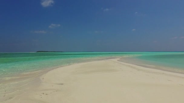 绿松石海和阳光下白沙背景下的海滨野生动物阳光摘要 — 图库视频影像