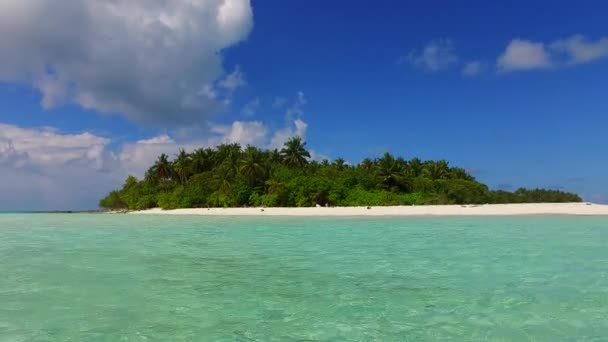 波の近くに青い海と白い砂の背景による静かな観光ビーチ旅行の日当たりの良い風景 — ストック動画