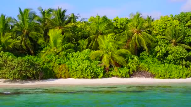 Sığ su ve palmiyelerin yakınındaki beyaz kum arka planında dinlendirici lagün plaj seyahatinin ılık yolculuğu — Stok video