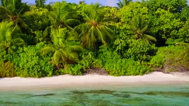 Солнечный пейзаж идиллического курортного пляжа дикой природы на прозрачном море с белым песчаным фоном рядом с песчаным баром — стоковое видео