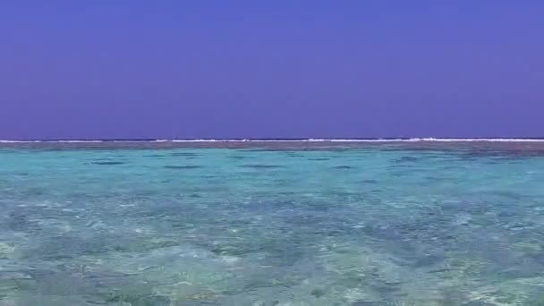 Copiar espaço de viagem de relaxante vida selvagem praia turística por lagoa azul e fundo de areia branca perto do resort — Vídeo de Stock