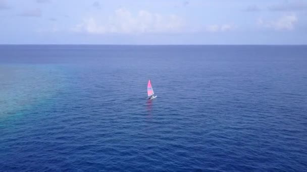 Sunny turizmus egzotikus öböl strand vadon élő állatok tiszta tenger tiszta homokos háttér a napfényben — Stock videók