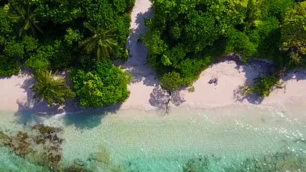 Copiar la textura del espacio de la hermosa aventura de playa resort por mar claro y fondo de arena blanca cerca del surf — Vídeos de Stock